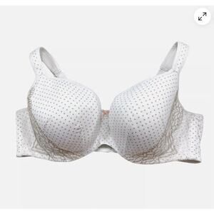 Cacique Polka Dot Lightly Lined T-shirt Bra (40DD)